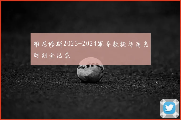 维尼修斯2023-2024赛季数据与高光时刻全记录