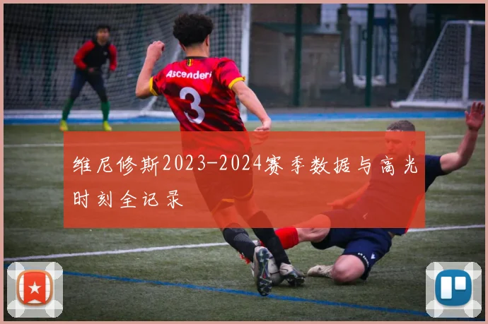 维尼修斯2023-2024赛季数据与高光时刻全记录
